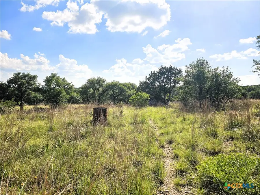 100 Reavis Drive Drive, Kempner, TX 76539 - #2