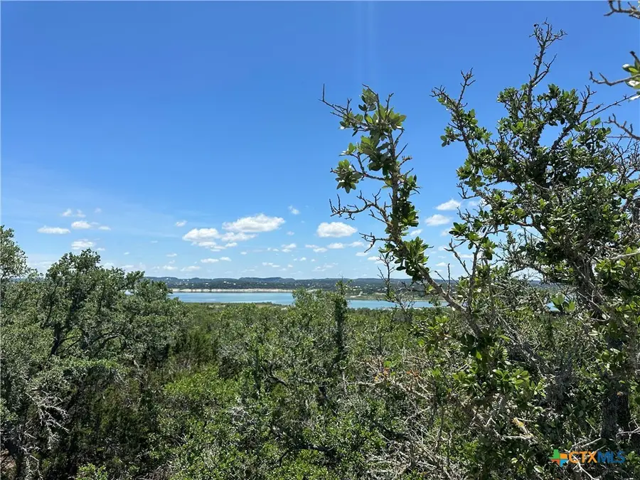 1251 Limerick Lane, Canyon Lake, TX 78133 - #2