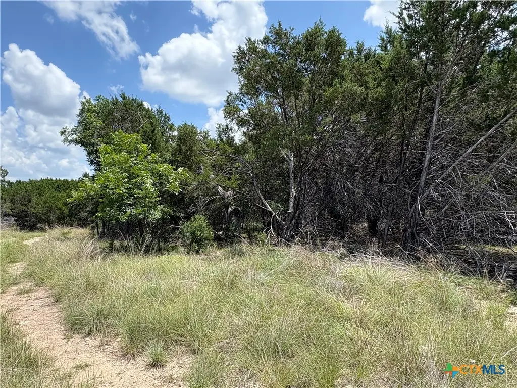 317 County Road 3062, Lampasas, TX 76550 - #1