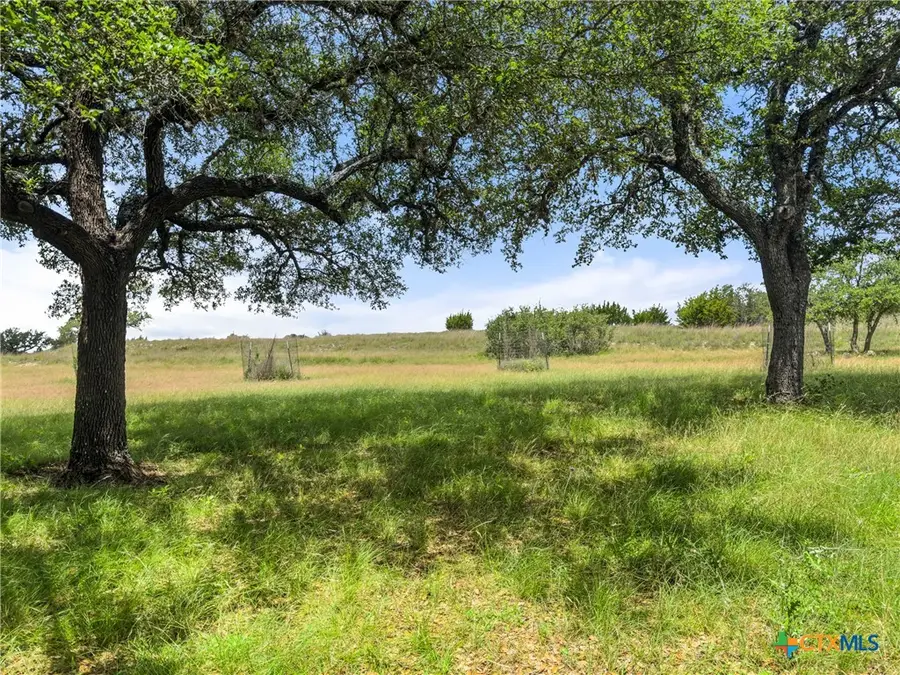 428 Summit Spring Lane, Johnson City, TX 78636 - #3