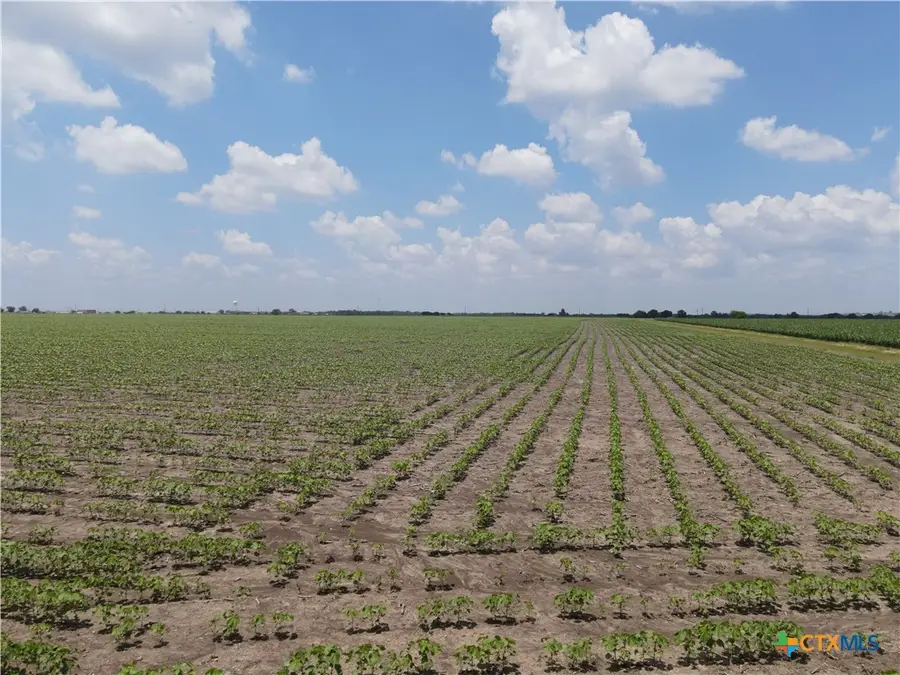 NA Willmann Road, Seguin, TX 78155 - #2