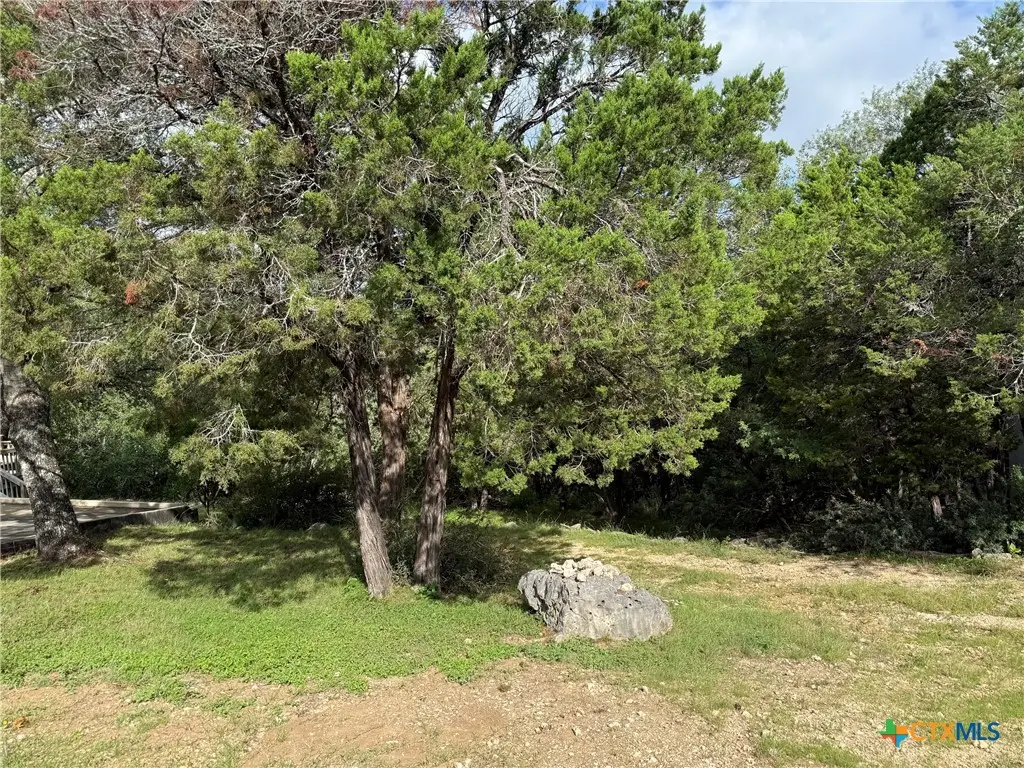 295 Nancy Drive, Canyon Lake, TX 78133 - #1