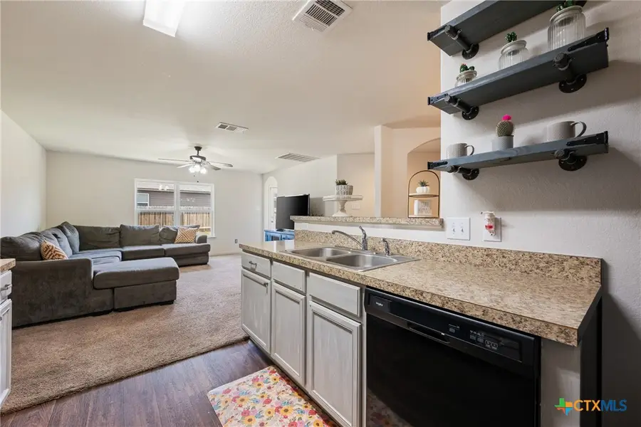 109 Proclamation Avenue, Liberty Hill, TX 78642 - #2