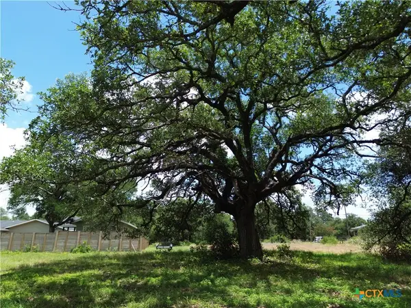 731 Santa Maria Road, Salado, TX 76571