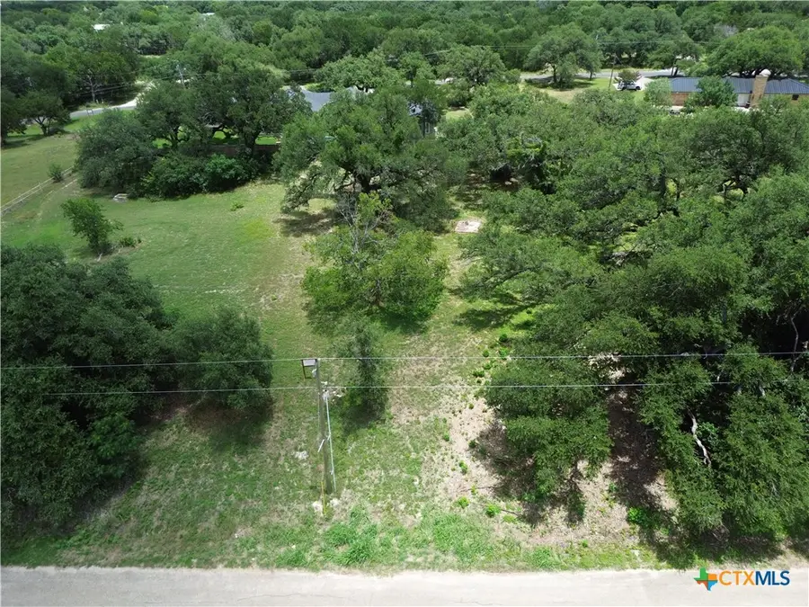 731 Santa Maria Road, Salado, TX 76571 - #3
