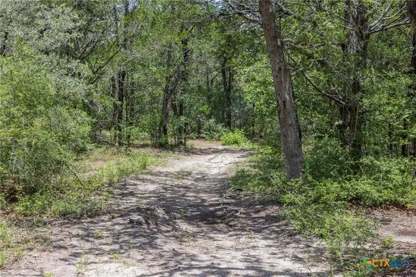 TBD tract 3B Rabel Rd, Rosanky, TX 78953