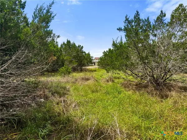 541 Henderson Drive, Spring Branch, TX 78070