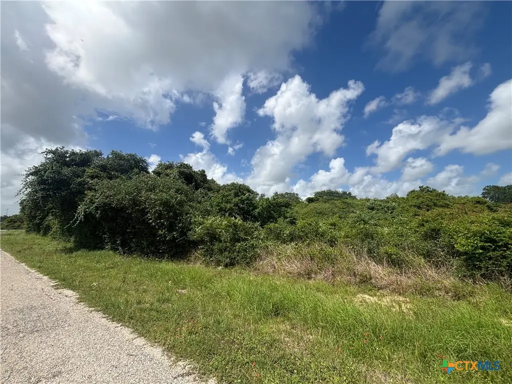 TBD Harbor Road, Seadrift, TX 77983 - #1