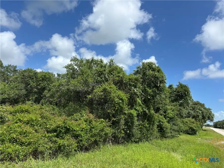 TBD Harbor Road, Seadrift, TX 77983 - #3