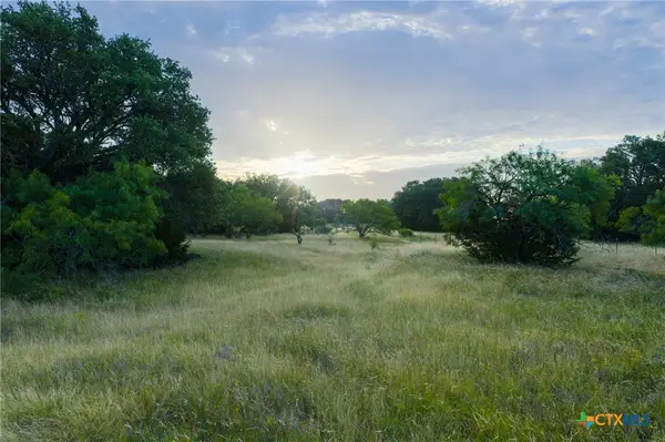 261 W Rolling Oaks Drive, Goldthwaite, TX 76844