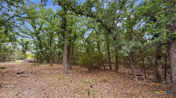 Lot 97 Ph 6 Pr 42101, Evant, TX 76566