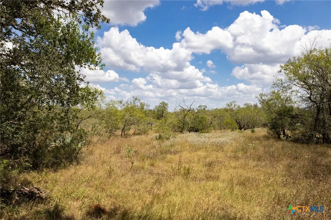211 Halm Road, Seguin, TX 78155 - #1