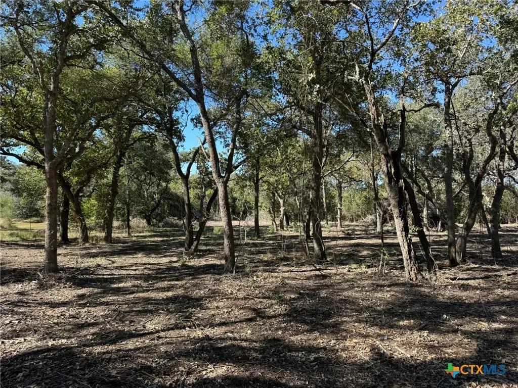 00 Bugle Lane, Victoria, TX 77905 - #1