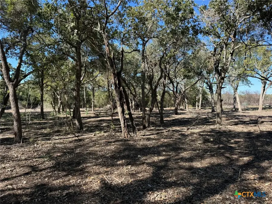 00 Bugle Lane, Victoria, TX 77905 - #3