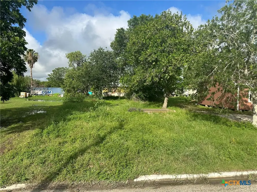 719 S Benavides Street, Port Lavaca, TX 77979 - #3