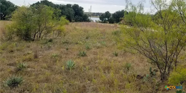 688 Comanche Lake Road, Comanche, TX 76442