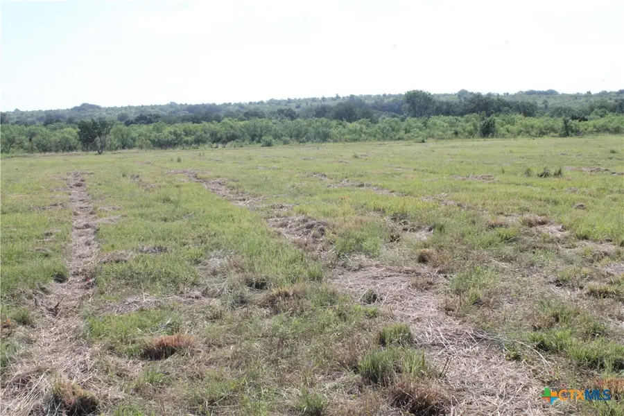 688 Comanche Lake Road, Comanche, TX 76442 - #2