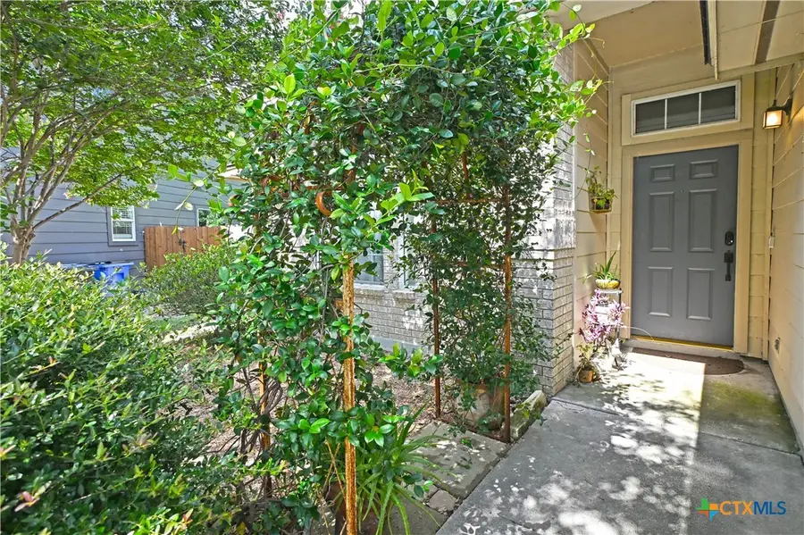 316 Meadow Park, New Braunfels, TX 78130 - #3