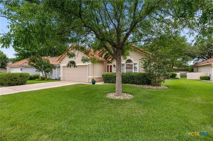 30303 Briarcrest Drive, Georgetown, TX 78628 - #2