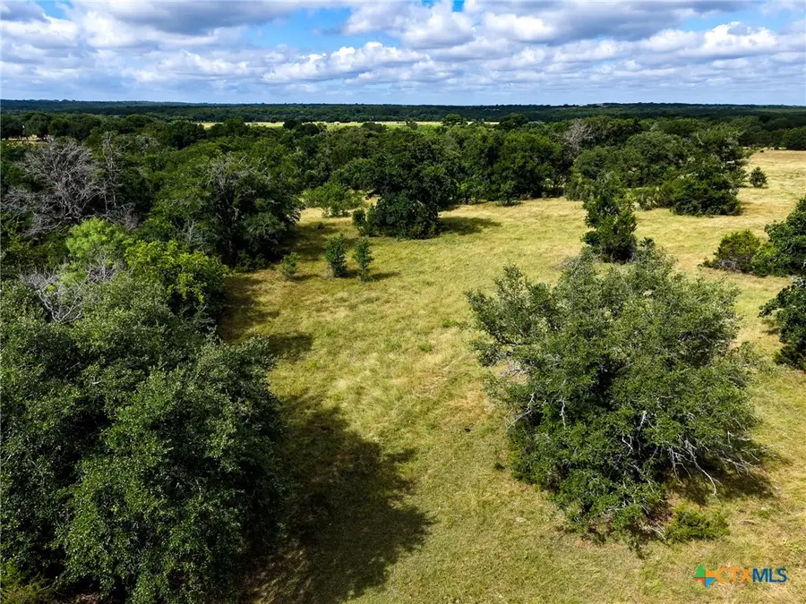 TBD Cr 102, Purmela, TX 76566 - #3