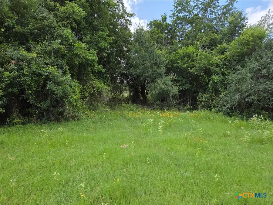 000 Hwy 36, Milano, TX 76556 - #3