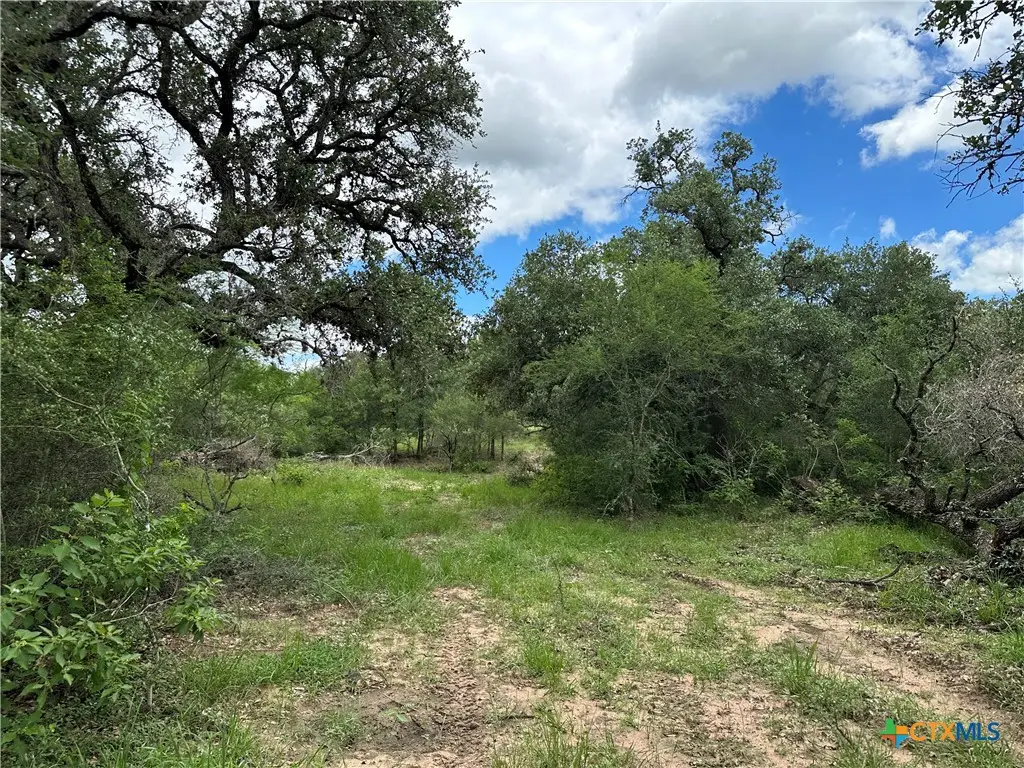 5 Burlin Lane, Meyersville, TX 77974 - #1