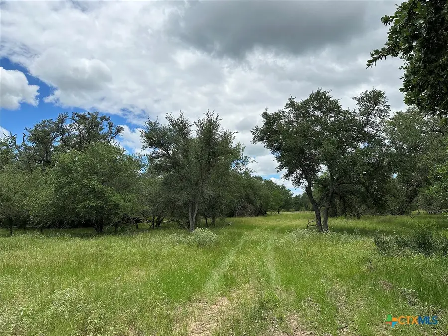 5 Burlin Lane, Meyersville, TX 77974 - #3