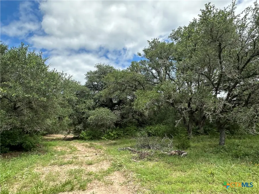 8 Burlin Lane, Meyersville, TX 77974 - #3