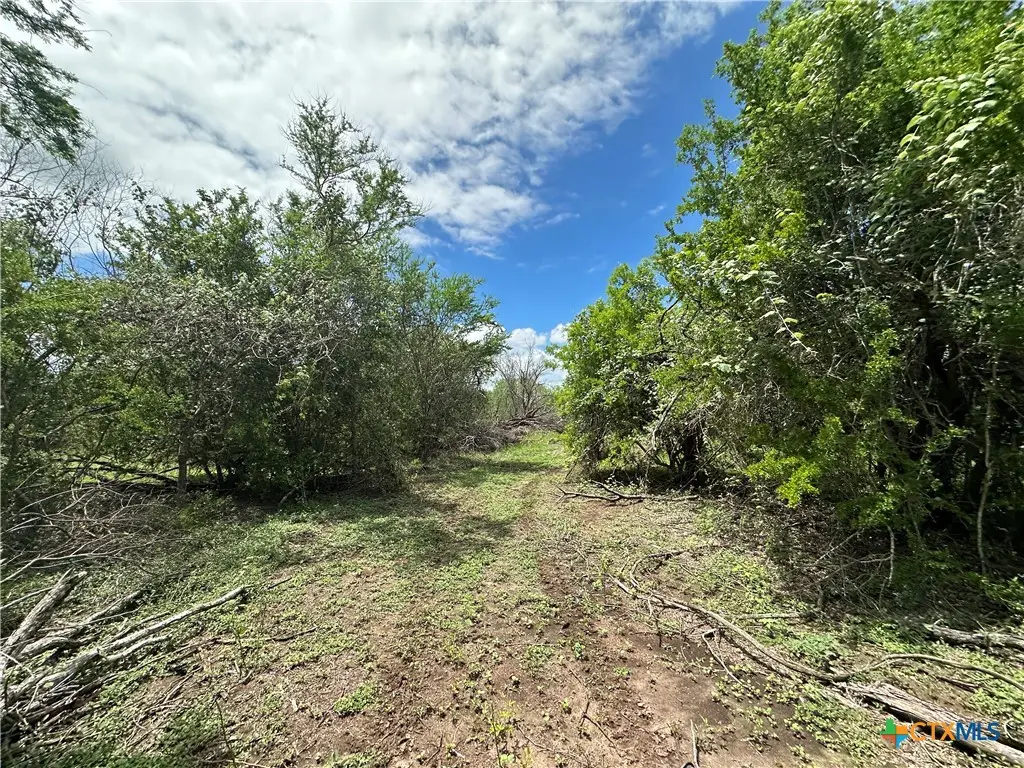 9 Burlin Lane, Meyersville, TX 77974 - #1