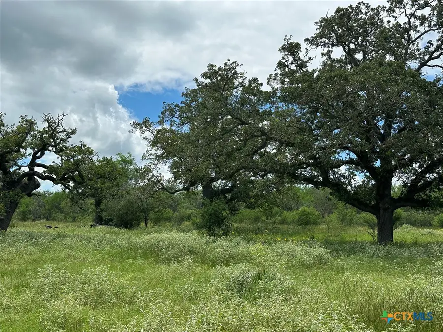 9 Burlin Lane, Meyersville, TX 77974 - #3