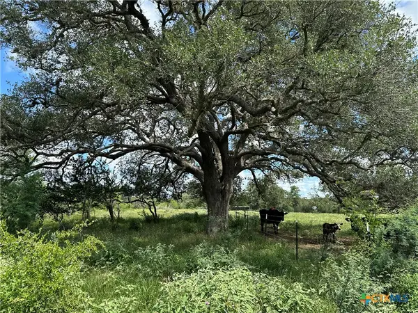 10 Burlin Lane, Meyersville, TX 77974