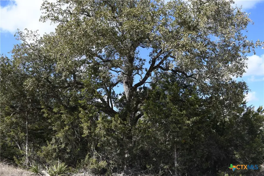 979 & 987 Deer Valley Pass, Spring Branch, TX 78070 - #2