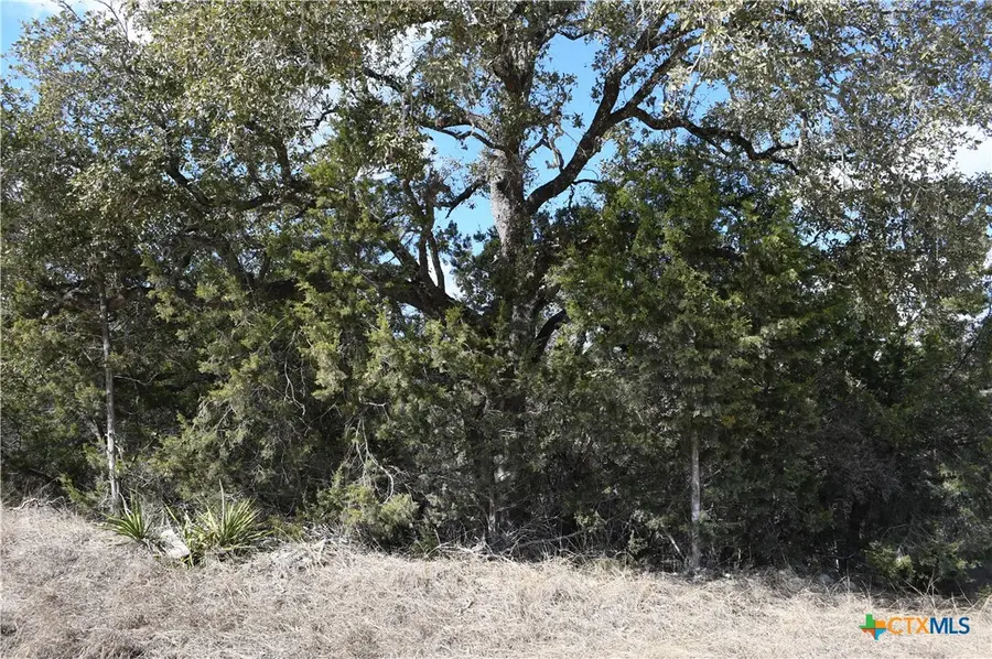 979 & 987 Deer Valley Pass, Spring Branch, TX 78070 - #3