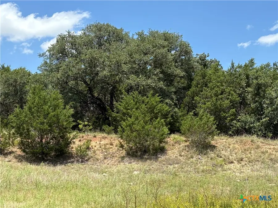0 County Road 303, Bertram, TX 78605 - #2