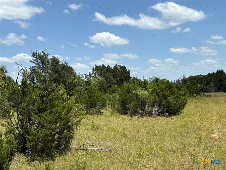 0 County Road 303, Bertram, TX 78605 - #3