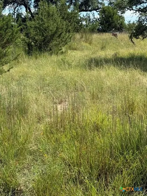 137 W Pat Dolan, Blanco, TX 78606 - #3