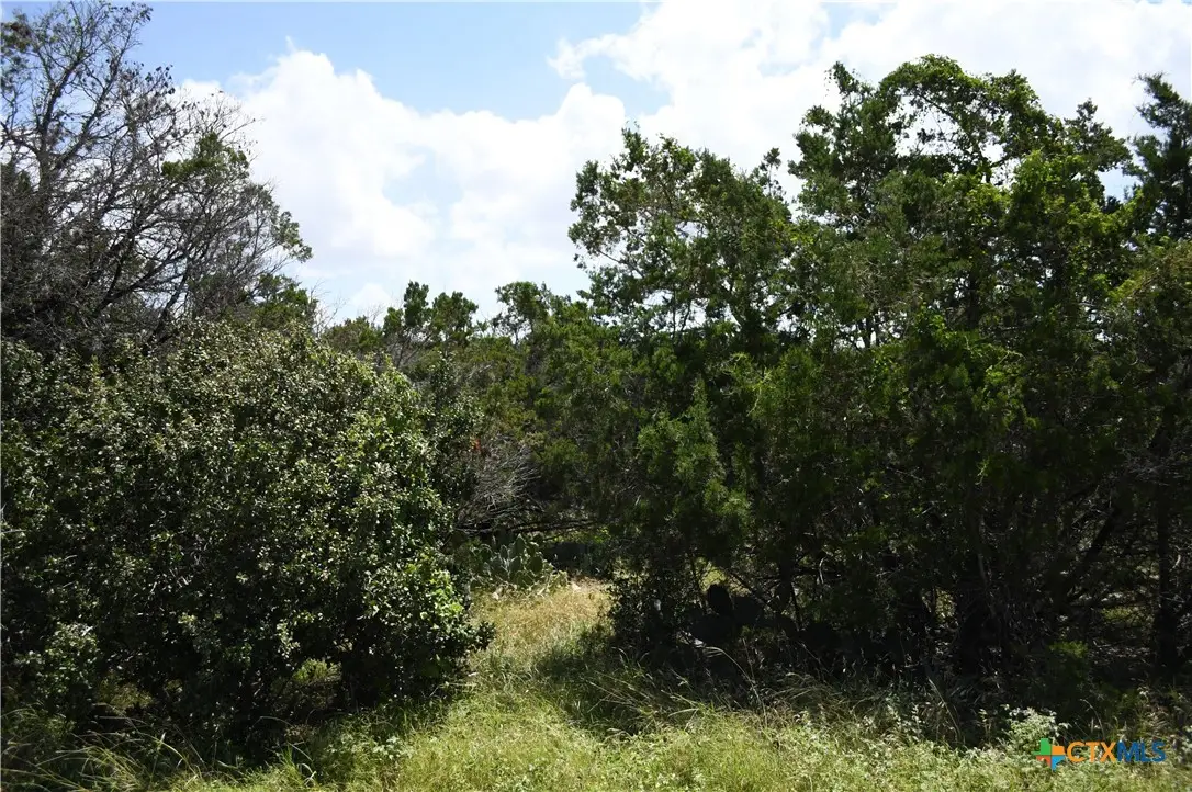 1318 Hidden Valley Drive, Spring Branch, TX 78070 - #1