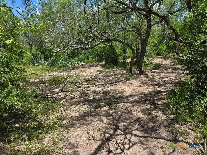 271 Pr 1266, Gillett, TX 78116 - #2