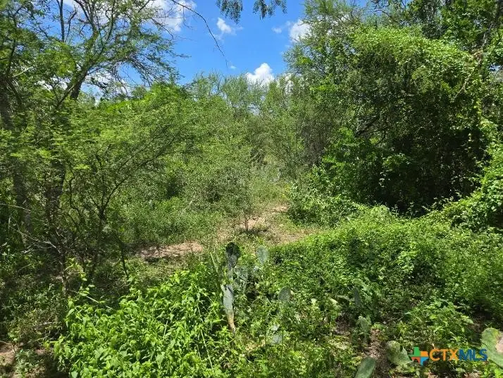 271 Pr 1266, Gillett, TX 78116 - #3