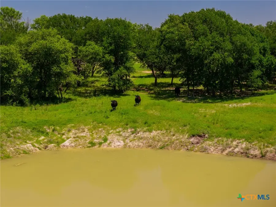 1806 County Road 180, Purmela, TX 76566 - #2