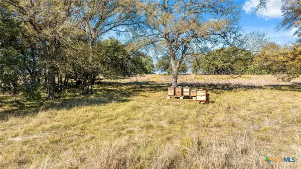 350 Yellowstone Drive, Oglesby, TX 76561