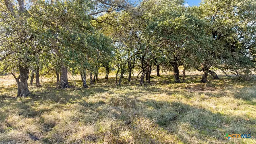 350 Yellowstone Drive, Oglesby, TX 76561 - #2