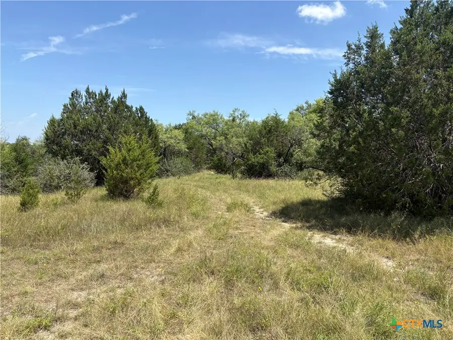 Tract 2 County Road 3421 Road #3423, Lampasas, TX 76550 - #2