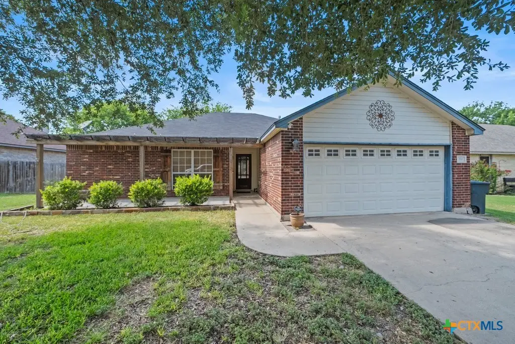 336 Raven Ridge, New Braunfels, TX 78130 - #1