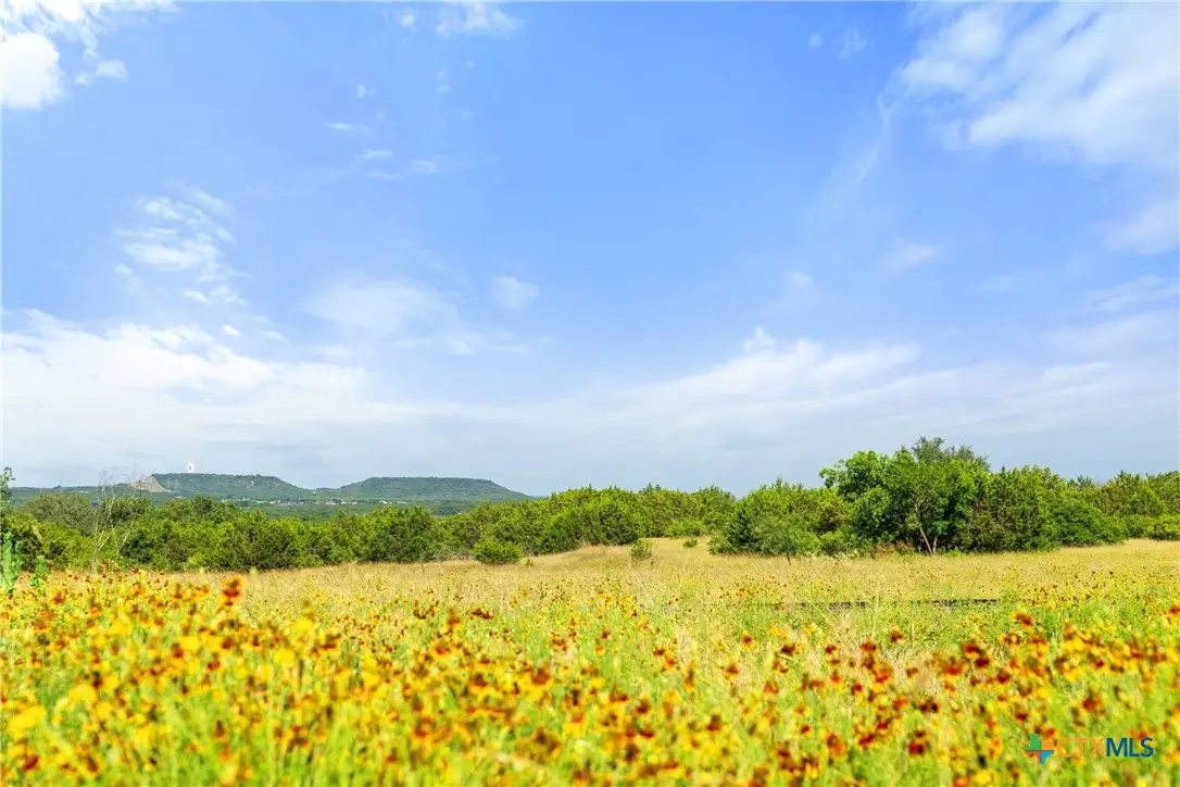 205 Private Road 4968, Kempner, TX 76539 - #1