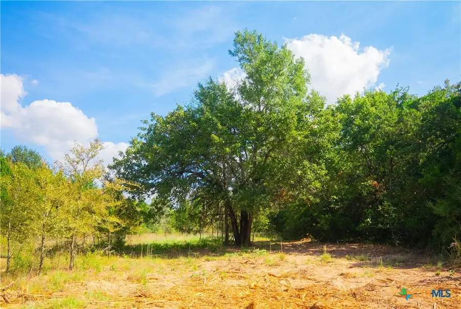 12524 Red Hill Road, Hearne, TX 77859 - #3