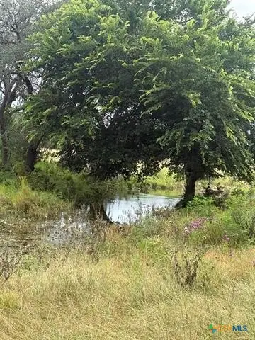 TBD County Road 200, Burnet, TX 78611 - #1