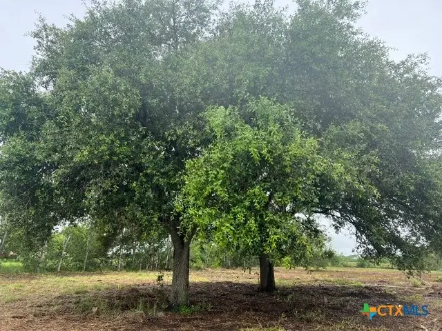 248 Davis Lane, Victoria, TX 77905 - #2
