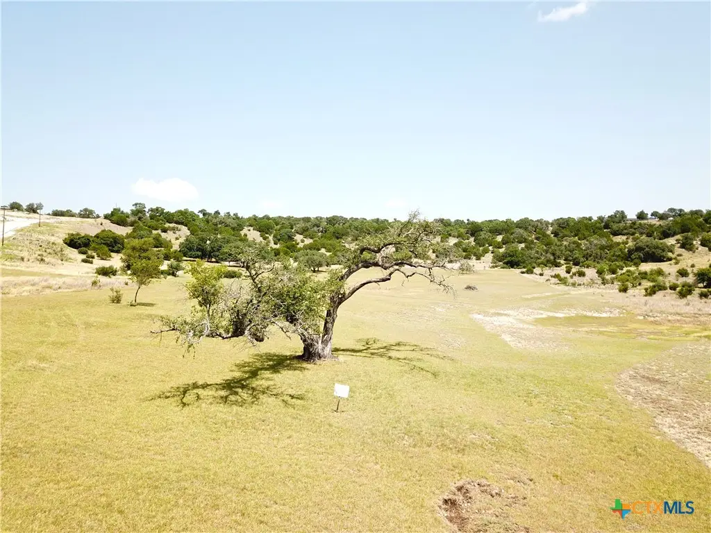 1644 Cottonwood Mesa Drive, Kempner, TX 76539 - #1