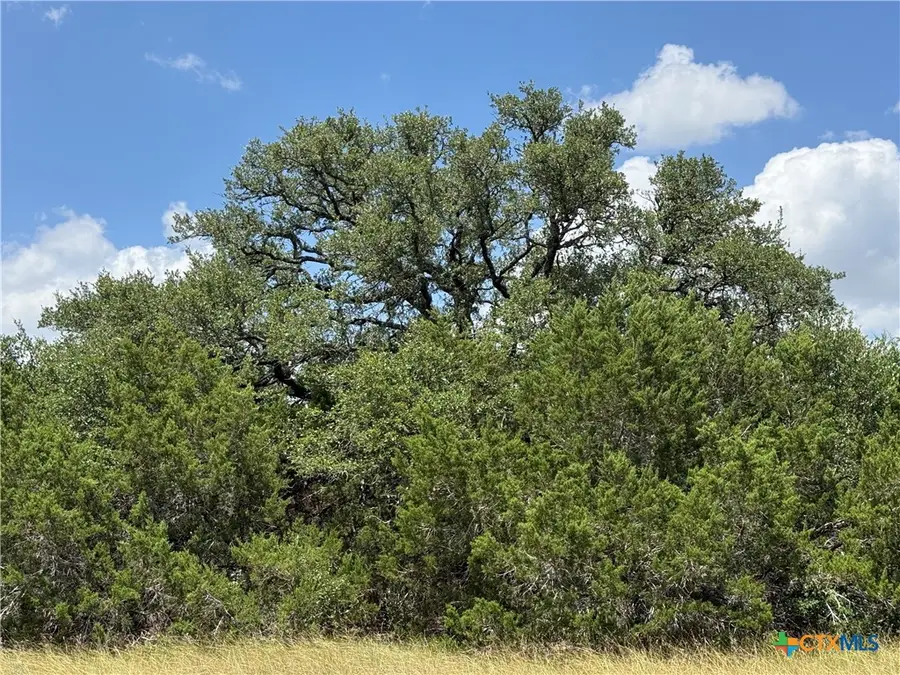 1074 Kenton Parkway, Salado, TX 76571 - #3